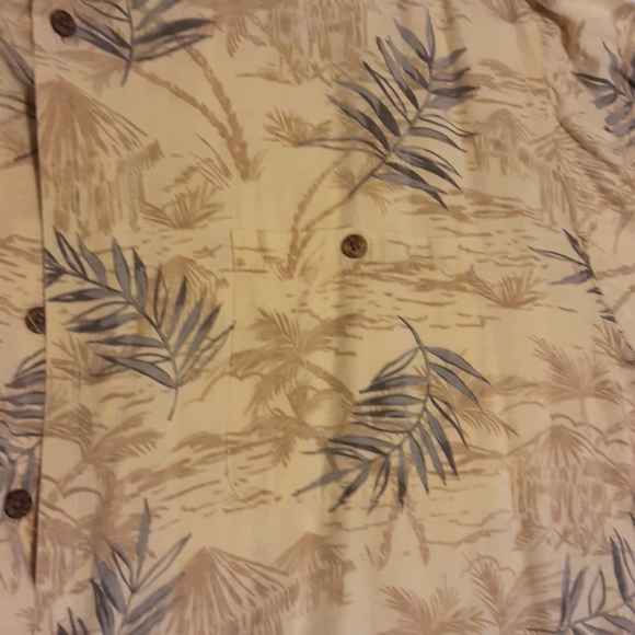 Button down shirt - Picture 3 of 4